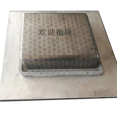 Πλαστική φόρμα μηχανών εγχύσεων EPTU EPS συνήθειας